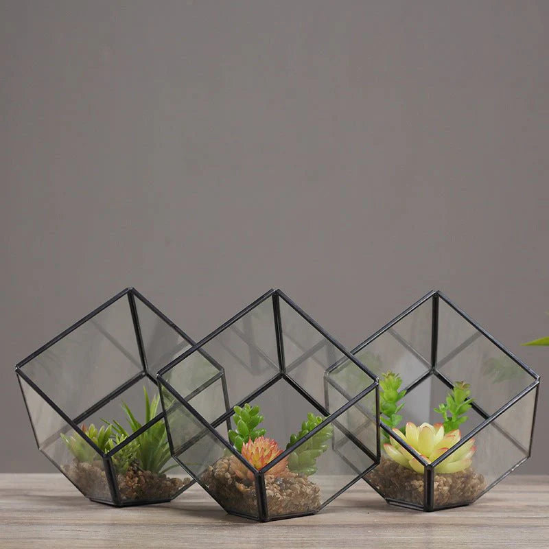 Oblique Square Small Glass Greenhouse Transparent Plant Flowerpot